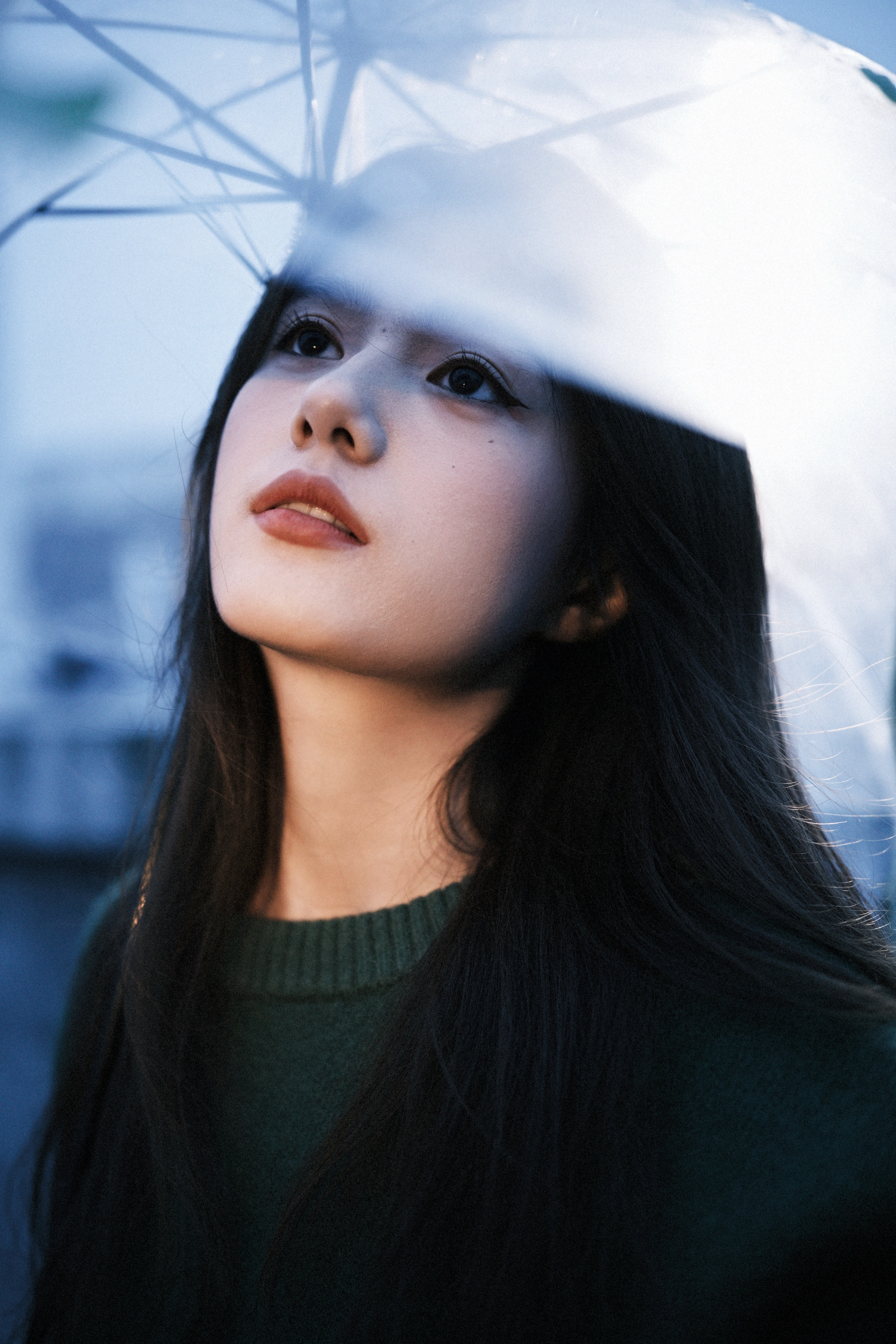 [YITUYU艺图语]2023.11.29 雨过之后 草萧疏 3